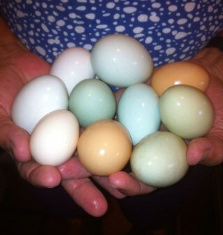 Martha Campbell-Thompson