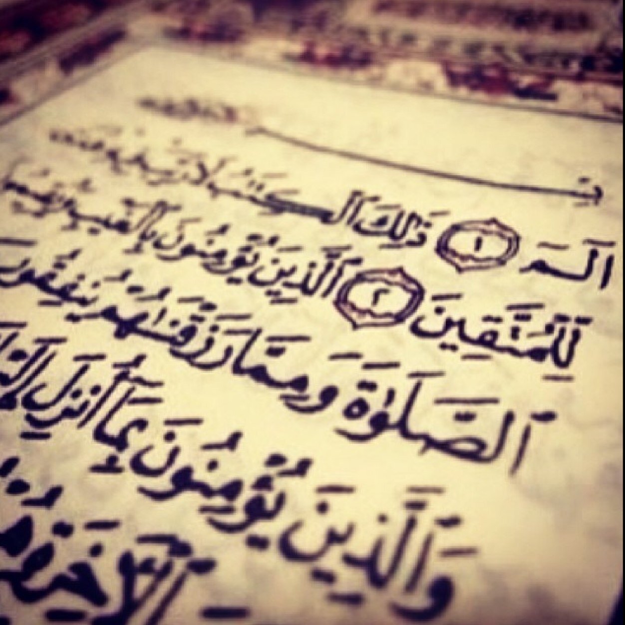 حسساب ديني + توعي 
معآ لنشر ديننا 
اللهم اجعل هذا حساب شهدا لنا لا شاهدا علينا