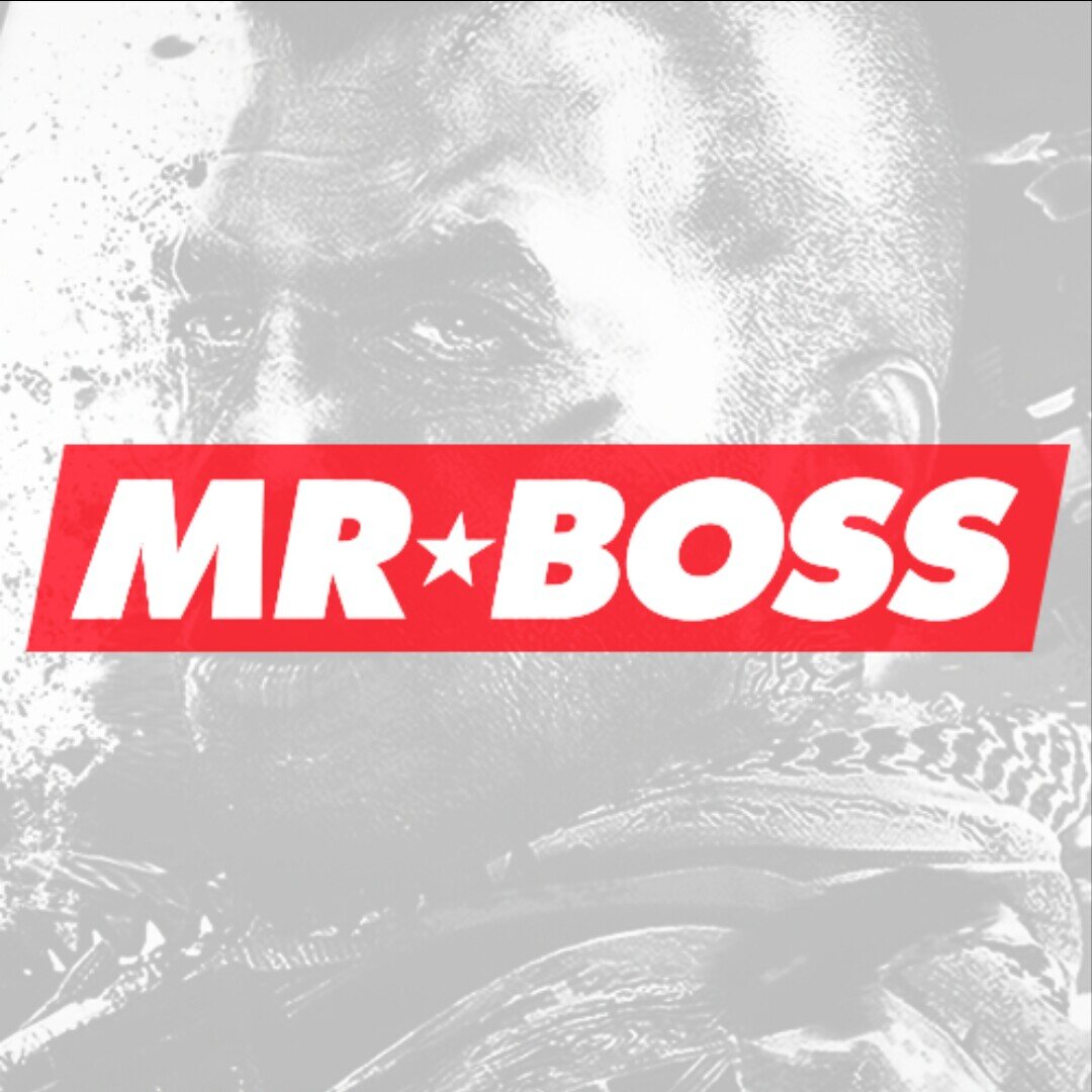 The Fan Army of @MrBossFTW