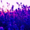 ____ (@03080514) Twitter