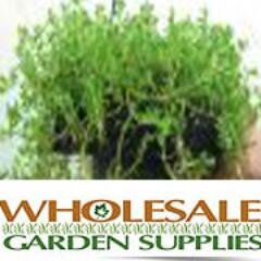 http://t.co/K3PWIIEUbE is a leading business to business supplier of wholesale garden products.