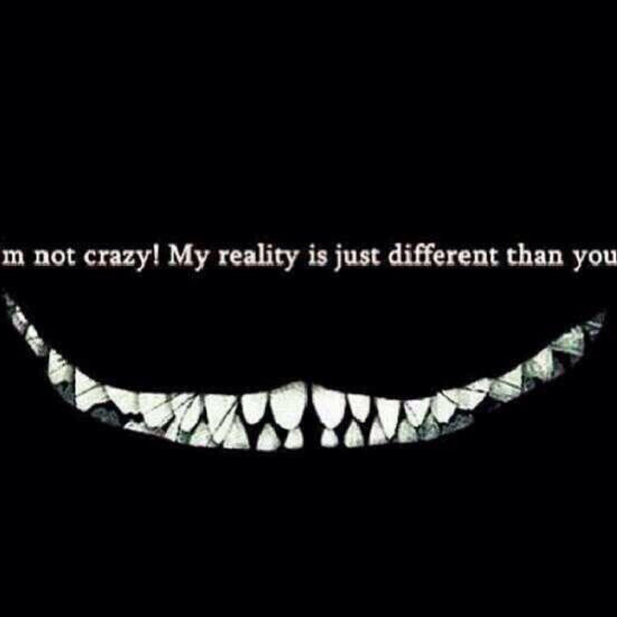 goetz_nick's profile picture. I'm not crazy in my own world