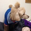 チリチリ (@5797Chizuru) Twitter