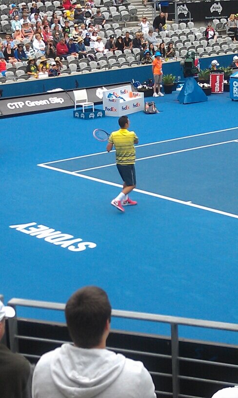 tennis fan