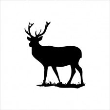 Der Twitter Account von http://t.co/s4DIpTP0MC
