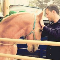 Marco fajardo (@marcofajard) 's Twitter Profile