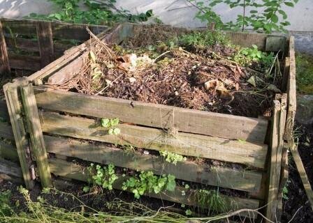 Every successful gardener needs compost - daily composting tips straight to your timeline. Follow me!