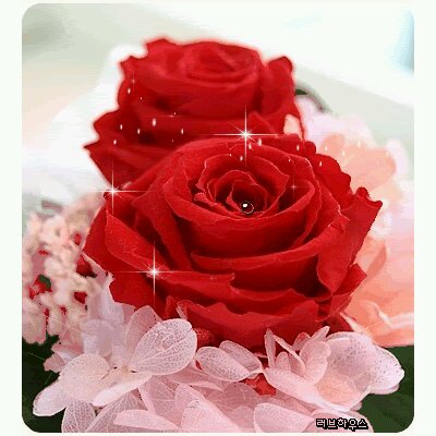 ค่าของเพื่อน อยู่ที่คุณภาพ ไม่ใช่ปริมาณ :)                    ฟอลมาฟอลกลับค่ะ^^ ไม่คิดค่าบริการ