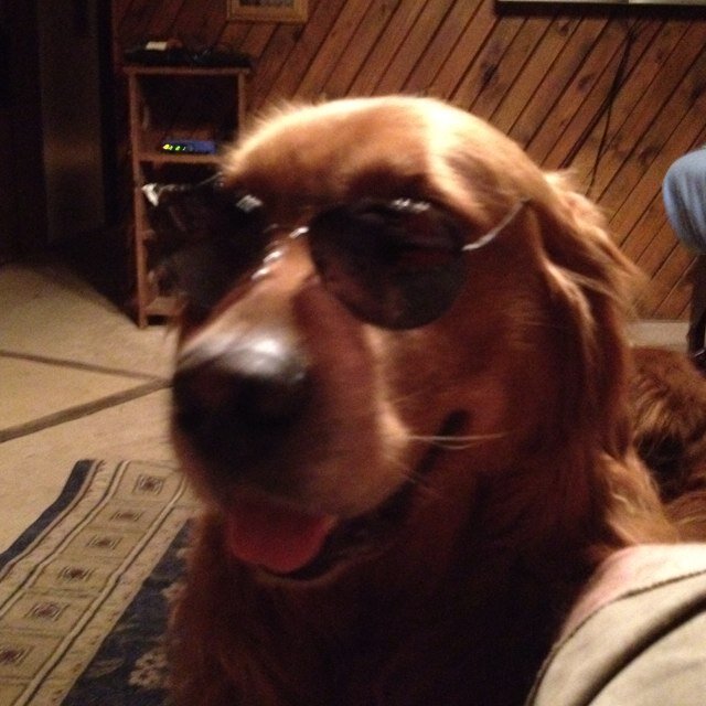 sup