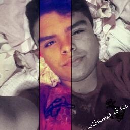 willmelark's profile picture. 