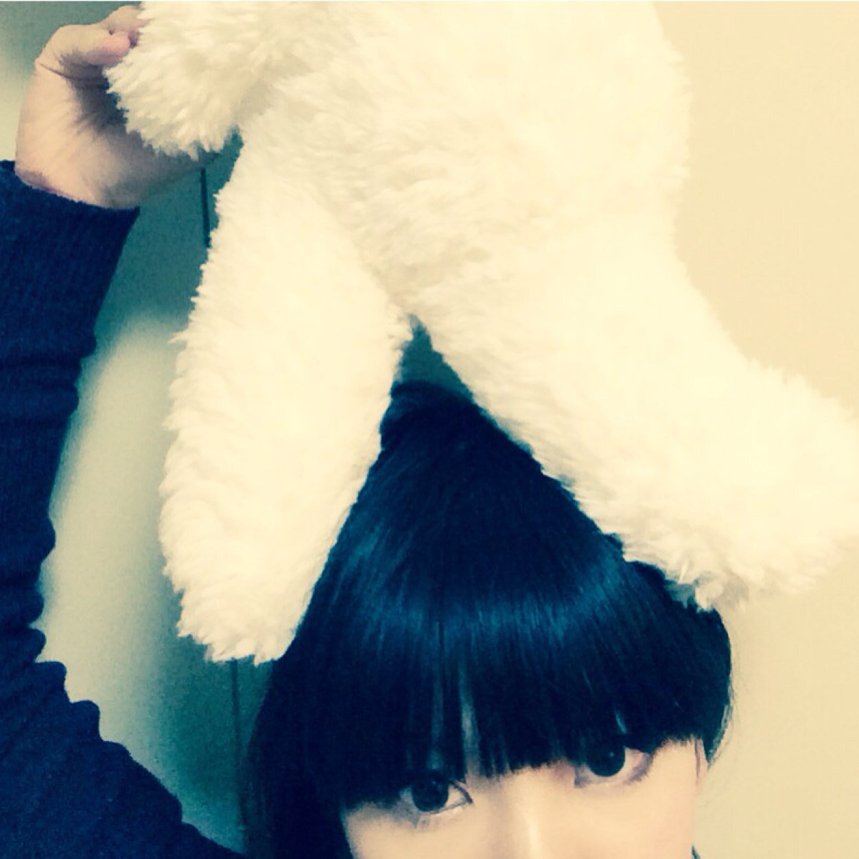 kosugi yuuiさんのプロフィール画像