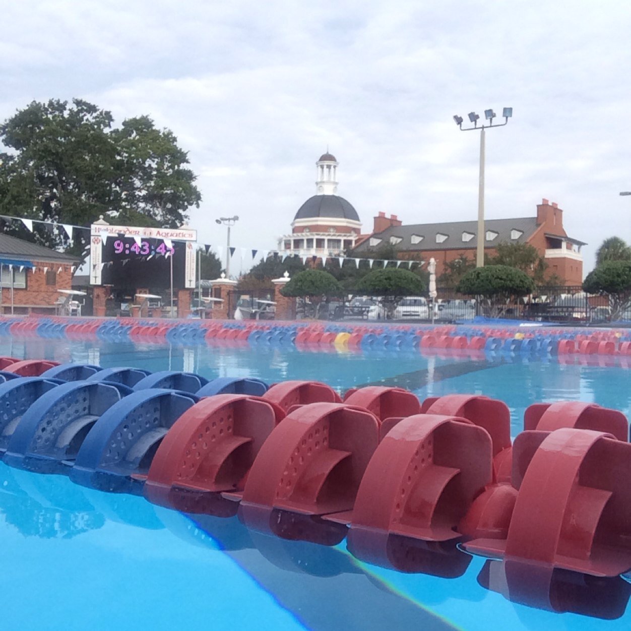 hicoachty's profile picture. Highlander Aquatics Age Group 2 Coach