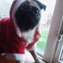 @kaylee_jerome - @kaylee44680863 - Twitter