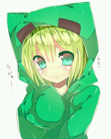 猫にゃんさんのプロフィール画像