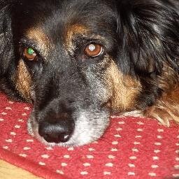 dabbit's profile picture. Born in London in 60, now living 60 miles from the capital