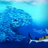 CampactAktive9's profile image