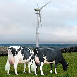 Windmilker's profile picture. Food and energy producer. Northern Farmer Green Farmer of the Year 2015