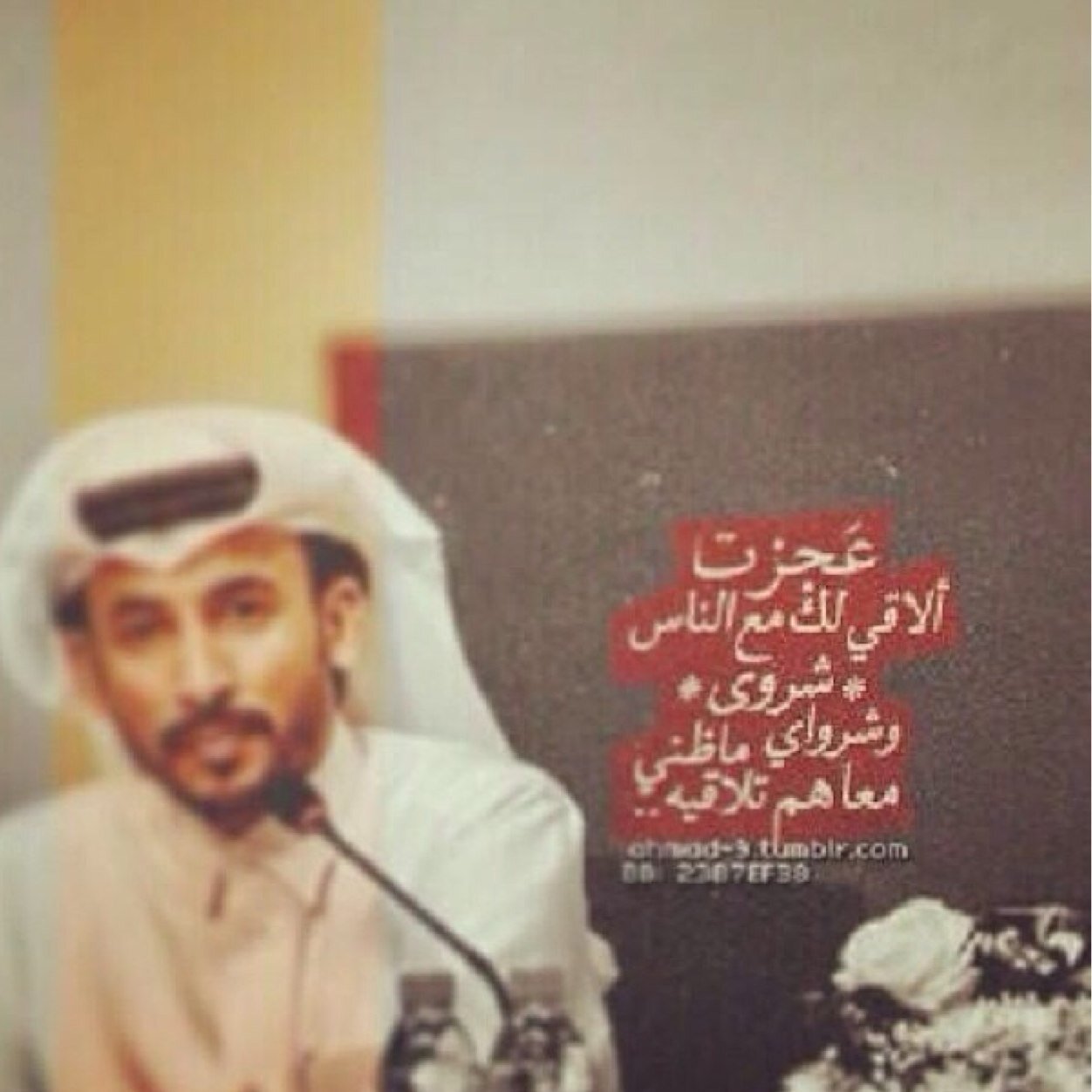 Instagram :m7amdal3ardy