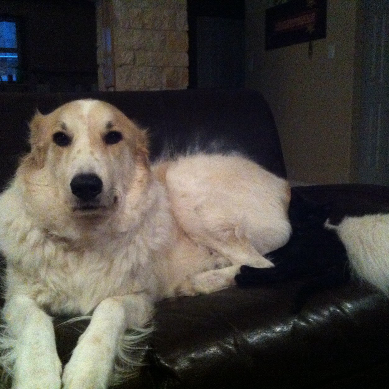 JessicaJdean's profile picture. 