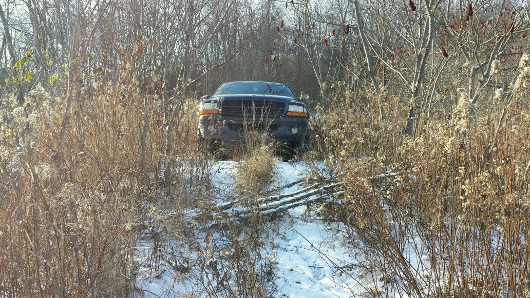 LoganRies's profile picture. ENHS, #teammopar, hunting, fishing, 4wheelers, indiana, drag racing is my life, living life full throttle wide open!