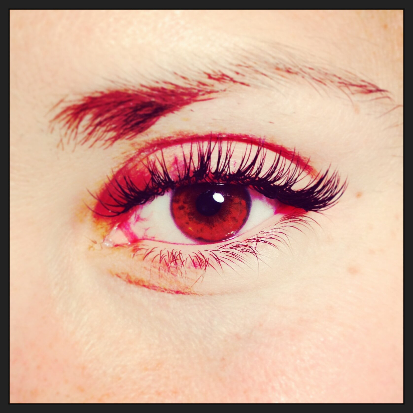 High End Lash Extensions, Products & Training for Beauty Industry Professionals