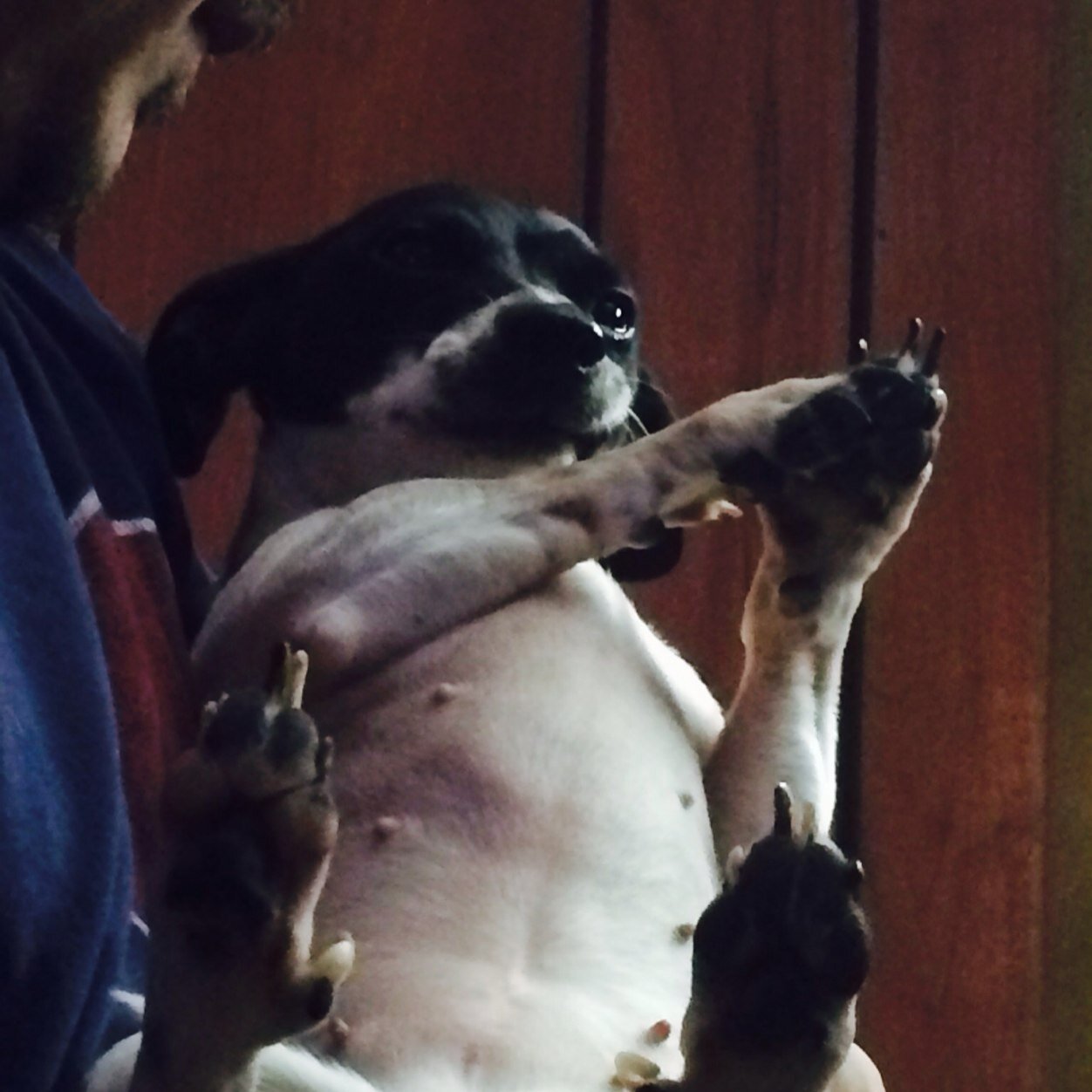 cartech56_james's profile picture. 