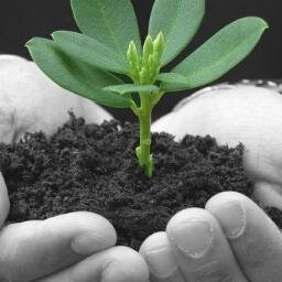 BGW_UK's profile picture. Free Business Growth Advice