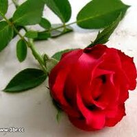 Abdallah Mohamed, PMP® (@eng_abdullah200) 's Twitter Profile
