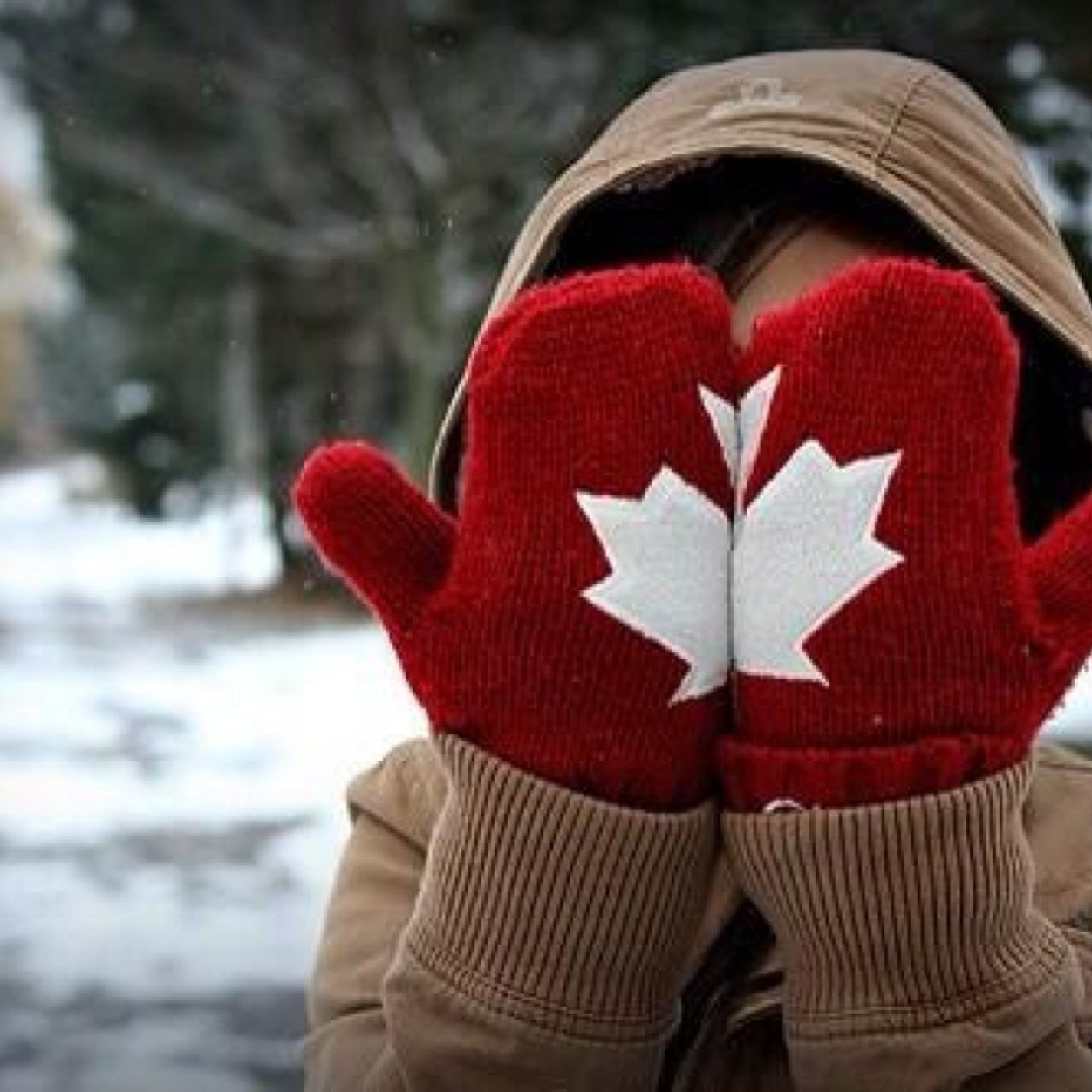 19 years old • canadian • totally and completely inlove • avi isnt me • kik canadianlove_