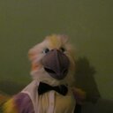 andrew downes - @andrewdowneswex - Twitter