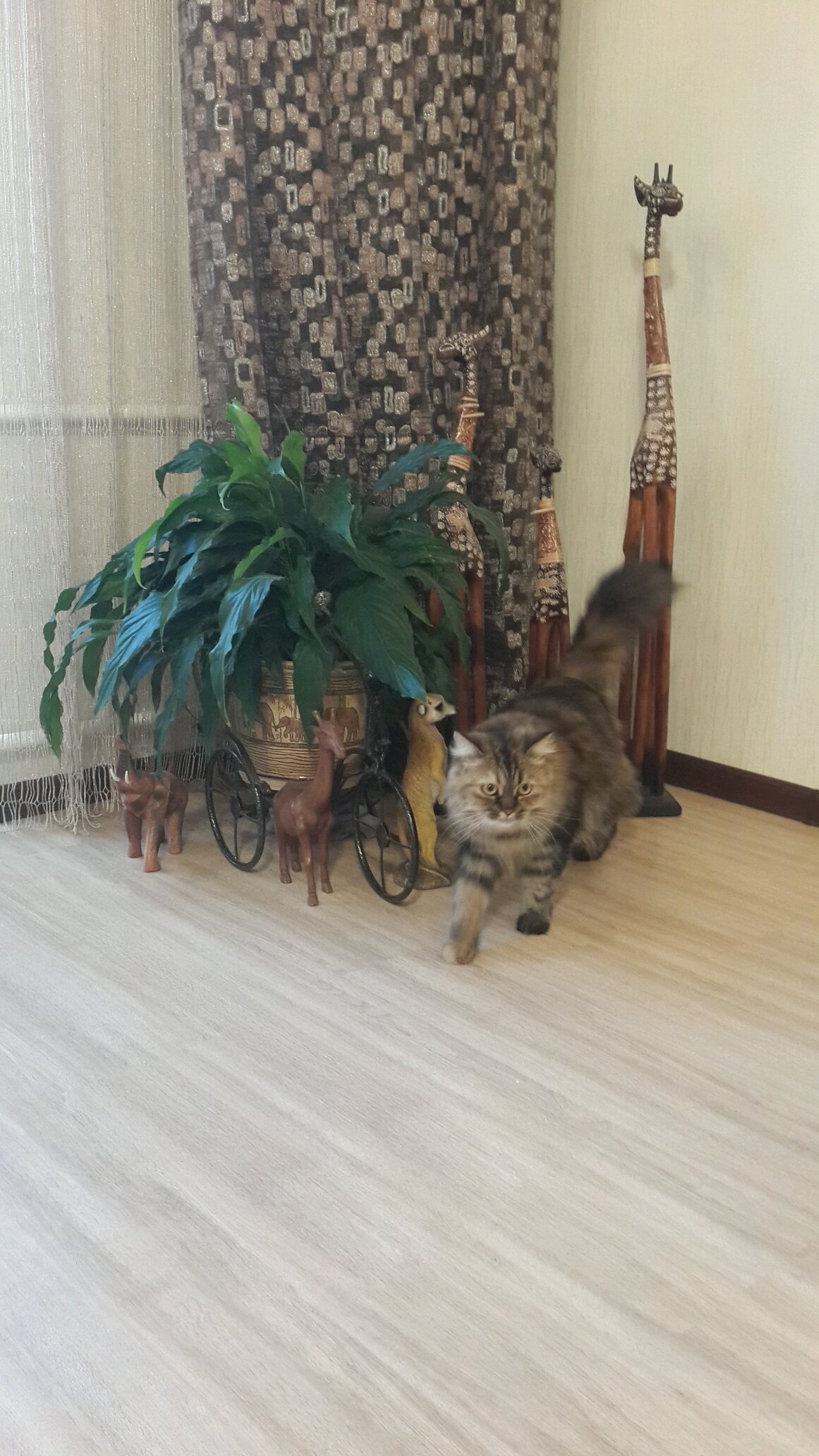 врач по профессии, столяр по жизни #ижевск