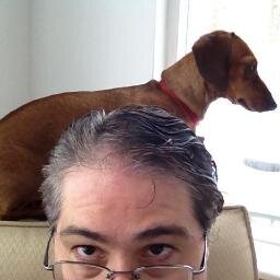 joeportellipsu's profile picture. 