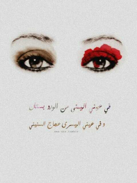 تم إلغاء الحساب