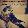 estfhamat's profile picture. وطـن الـنـهـار،،،لــن يـنـهـار♥