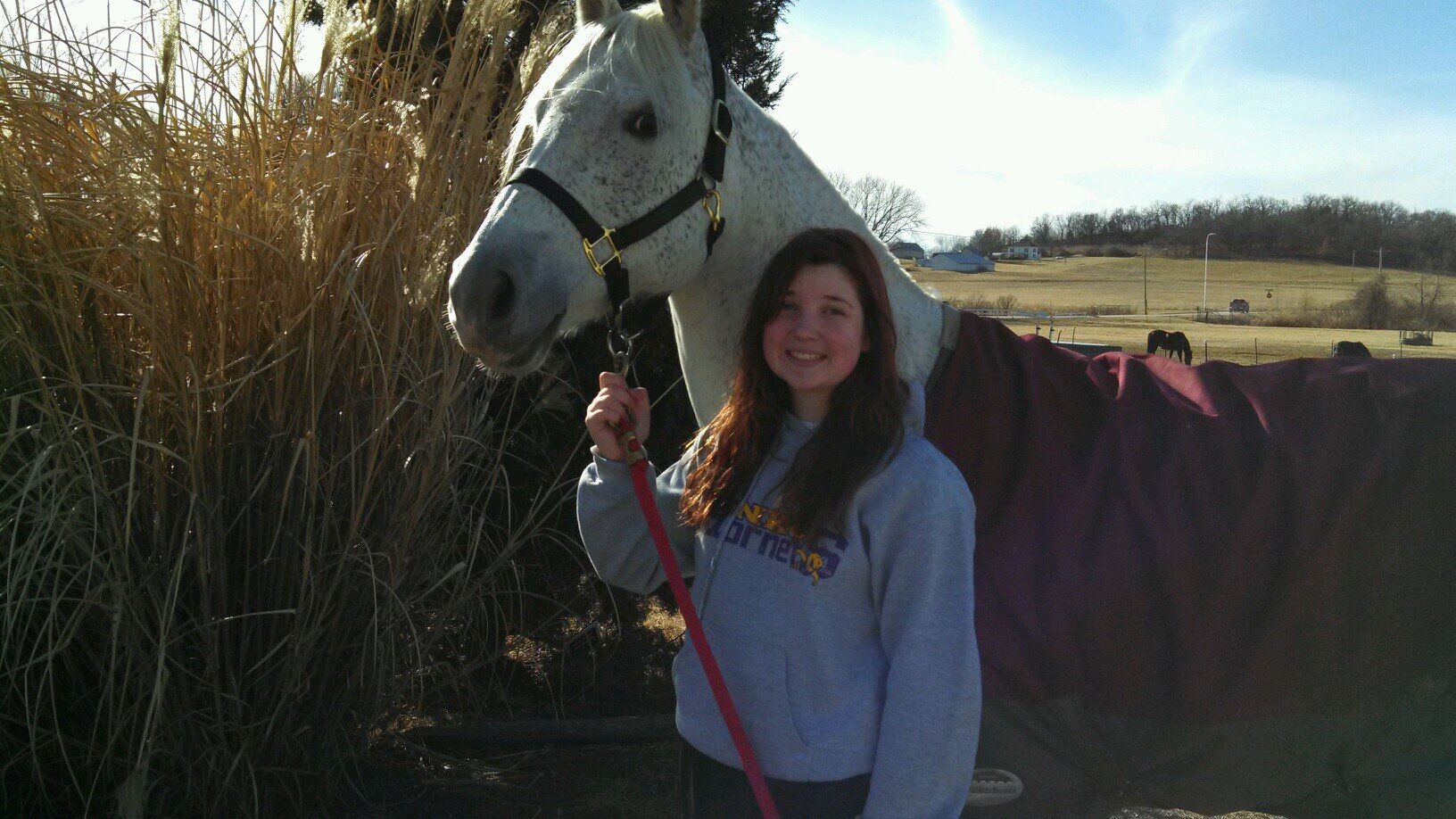 My horse is the one thing that keeps me going.
                        Area 4