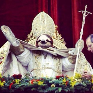 If you love interesting sloth facts or humans or tøp or books or sports or popes or pop tarts or even sea turtles you're in the right place