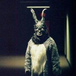 elpollocaribeno's profile picture. Do you believe in time travel?