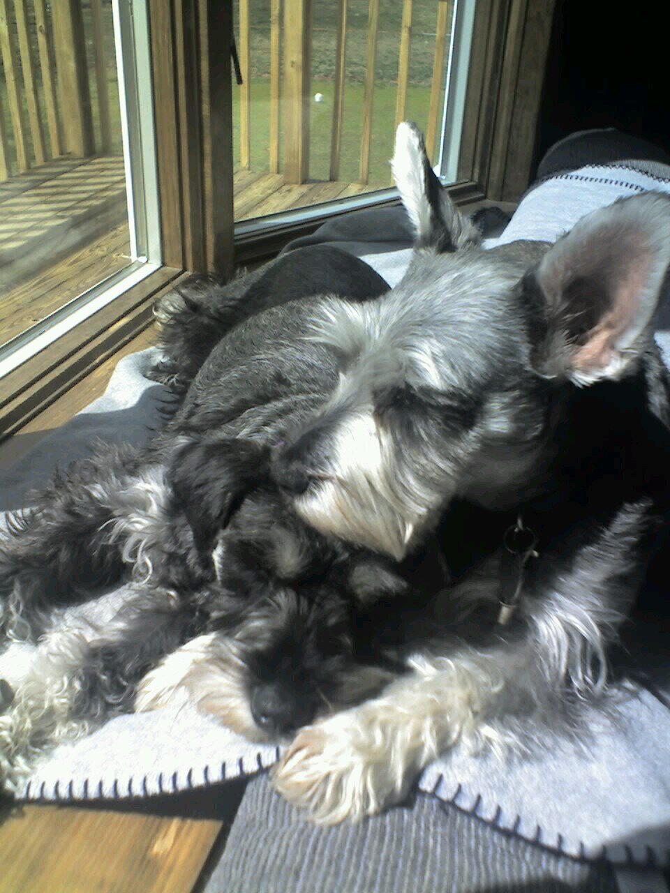 dharr8828_a's profile picture. 