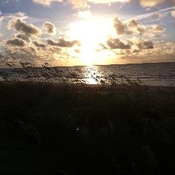 philhumes's profile picture. Journalist, aquarist, adventurist