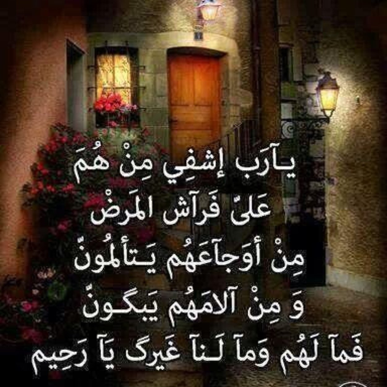 Netssw's profile picture. 