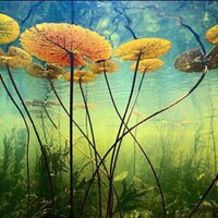 Best Nature Pictures (@bucketlistpic) 's Twitter Profile