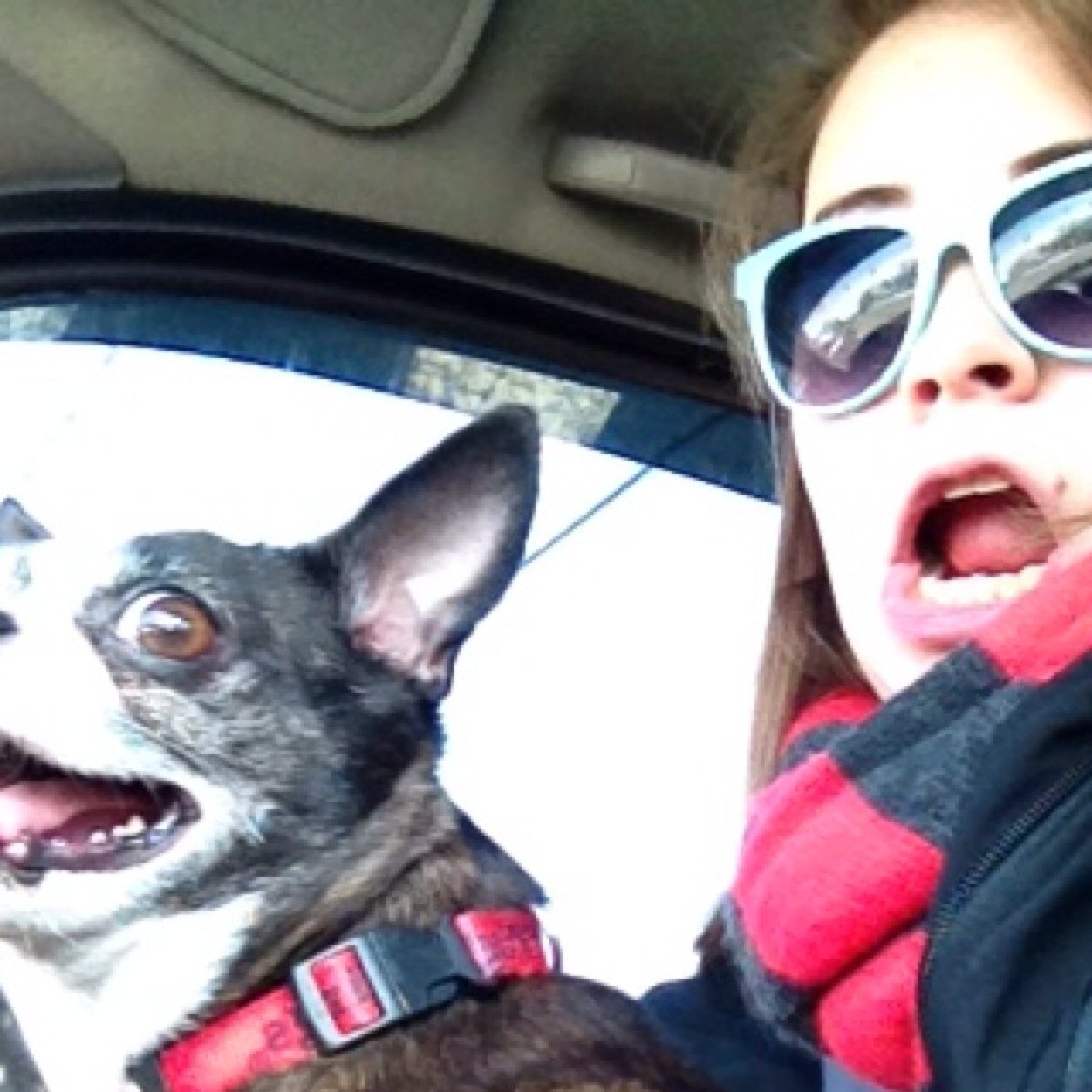 v__ronica's profile picture. 