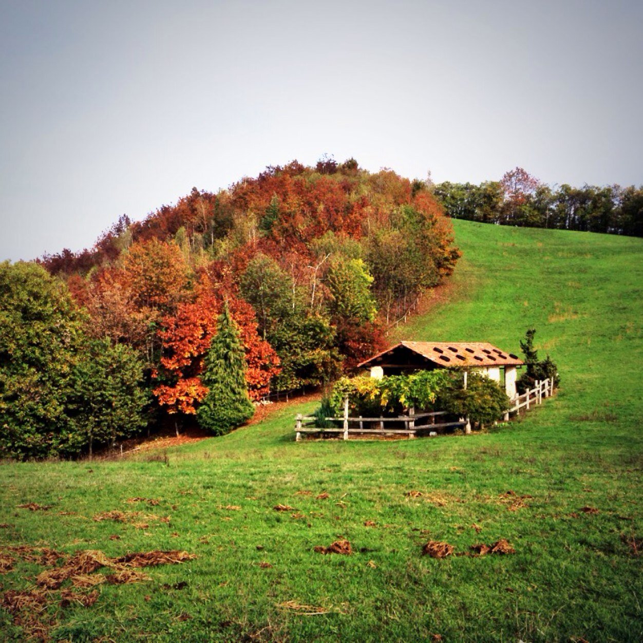 pobissimo's profile picture. 