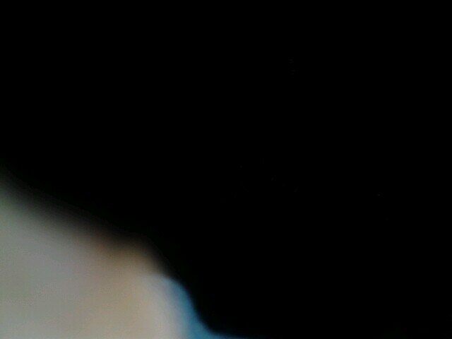 songbirdpsycho's profile picture. 