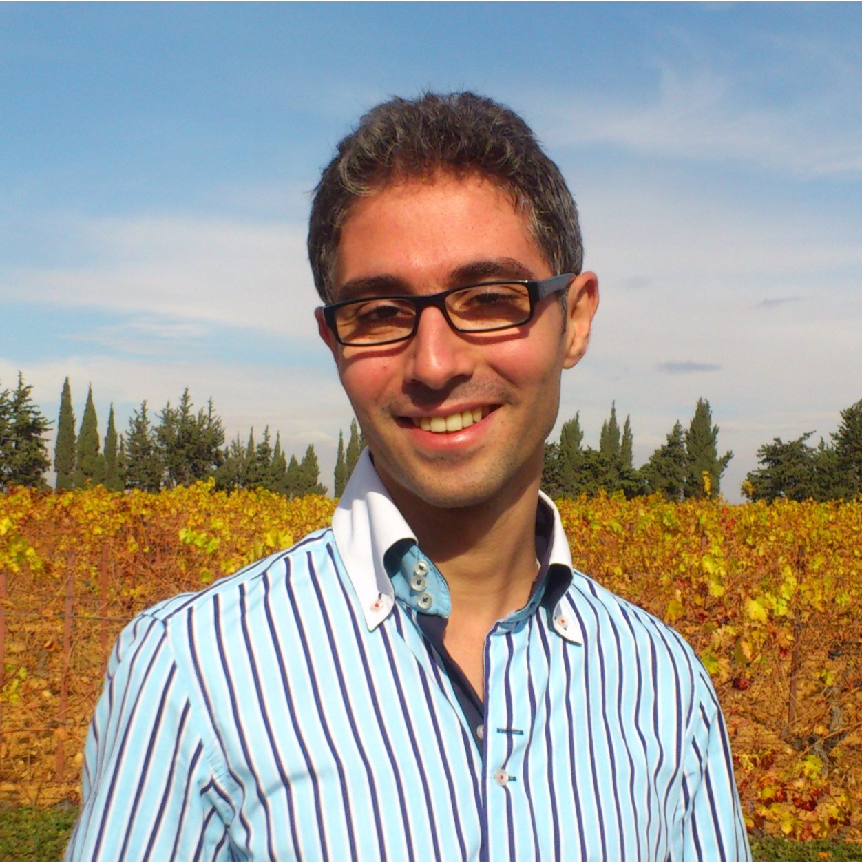 Lebanese, Mechanical engineer and consultant.
