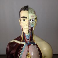 Mr. Johnson (@mrjhealth) 's Twitter Profile