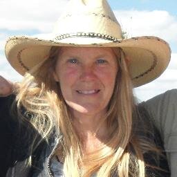 COLorganicseeds's profile picture. The ONLY Resource for Certified Organic AND Heirloom or Open-pollinated Seeds!