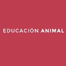 Toda la información sobre el mundo de las Intervenciones Asistidas con Animales #TAA #IAA http://t.co/K899btvkek #TherapyDog #Equinoterapia