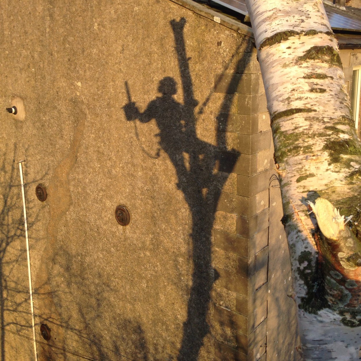 Tree surgery and forestry contractors in the North-west.