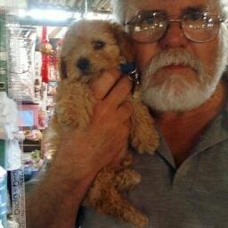 luisemucci's profile picture. 